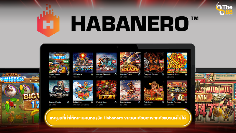 เหตุผลที่ทำให้หลายคนหลงรัก Habanero จนถอนตัวออกจากตัวแบรนด์ไม่ได้