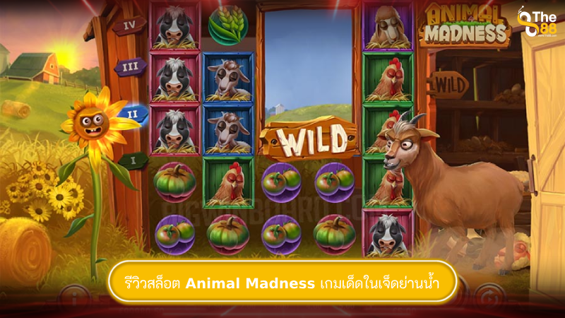 รีวิวสล็อต Animal Madness เกมเด็ดในเจ็ดย่านน้ำ