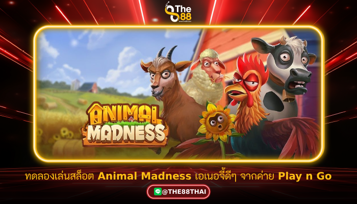 ทดลองเล่นสล็อต Animal Madness เอเนอจี้ดีๆ จากค่าย Play n Go